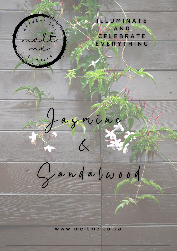 Jasmine & Sandalwood - Large Ready Made Candle